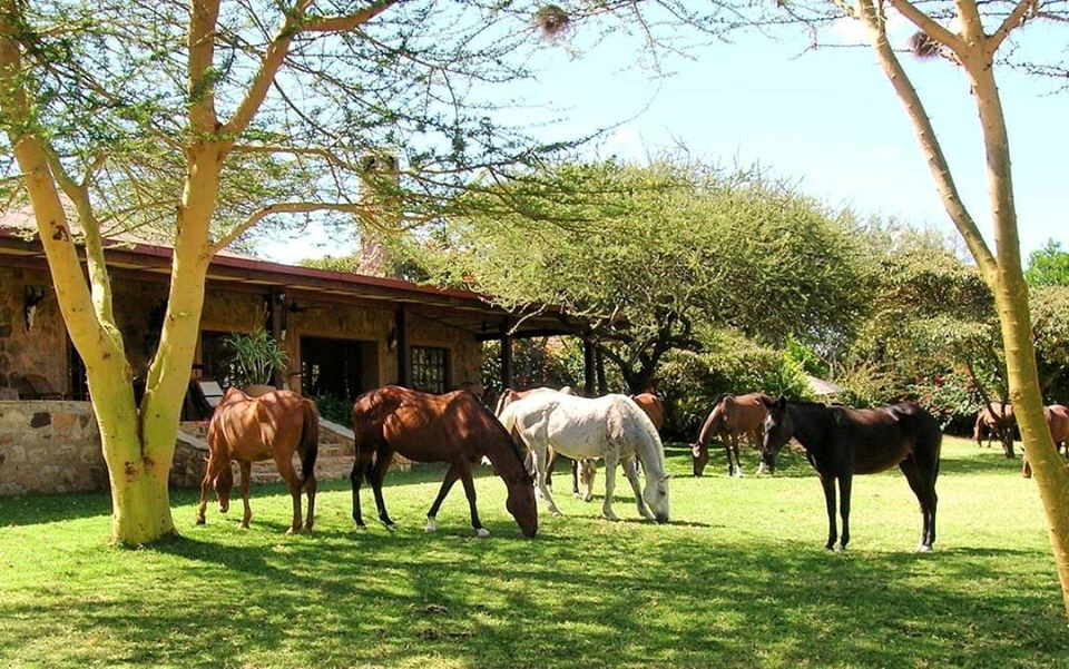 Sosian Lodge Kenia Hochland