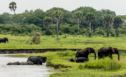 Katavi-Safari Tansania 