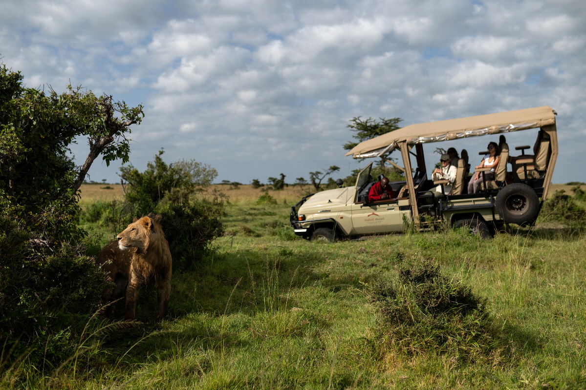 Mahali Mzuri Safaricamp Masai Mara Gamedrive