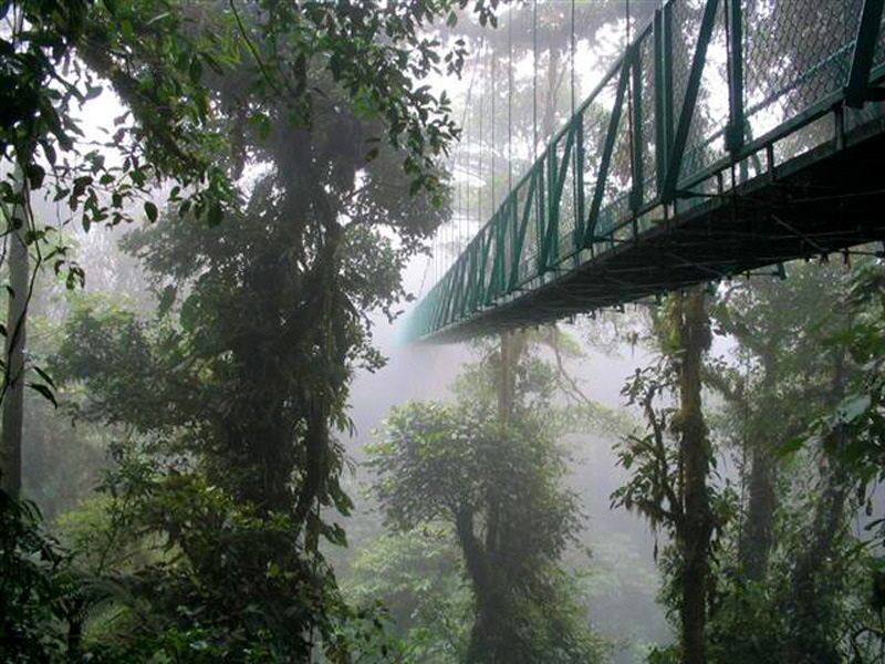 Monte Verde Hängebrücken