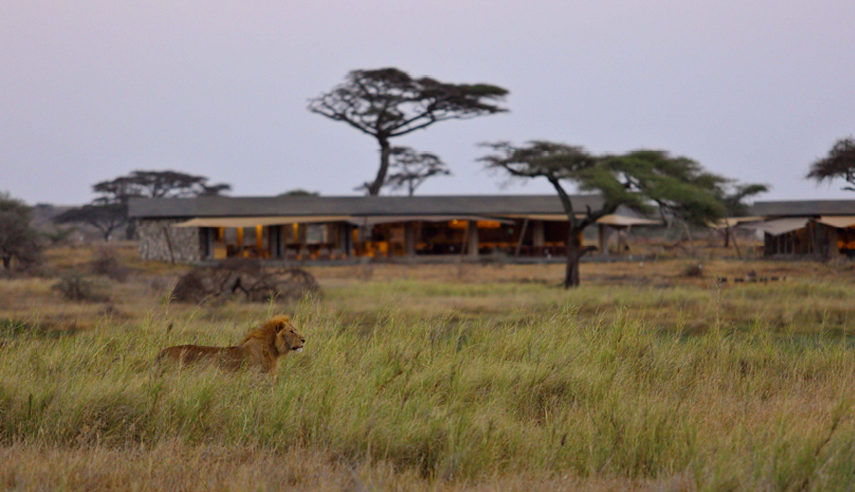 Namiri Plains Serengeti