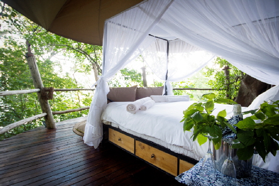 Rubondo-Island-treehouse-view-from-bed