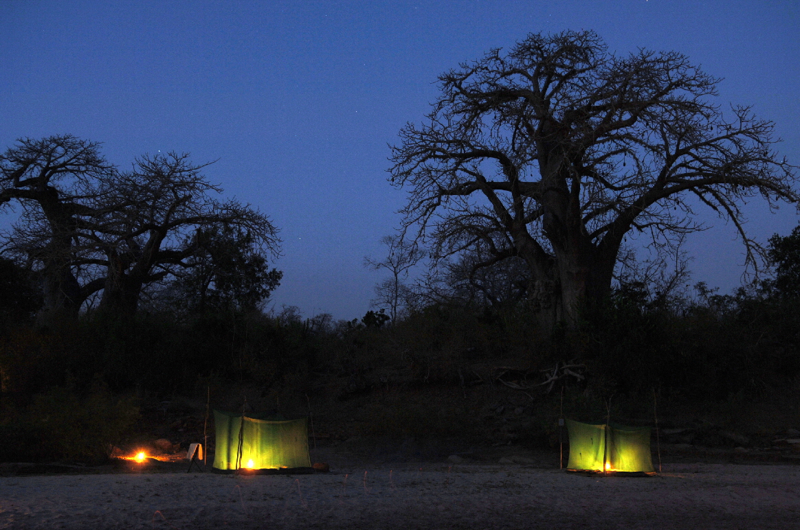 Selous  Sandriver Camp Fly camp
