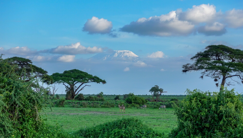 Amboseli und Kilimanjaro