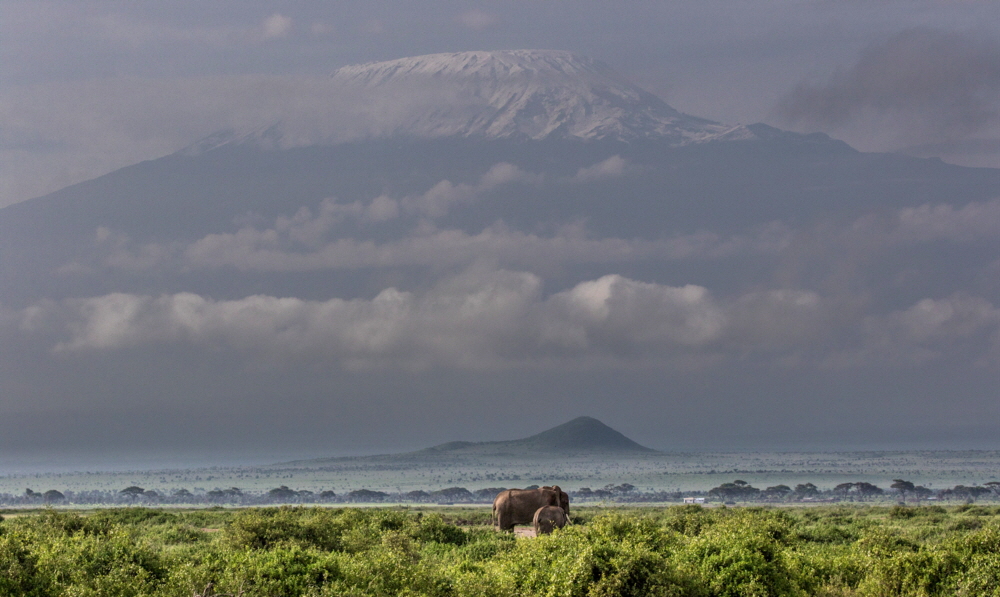 Kilimanscharo 