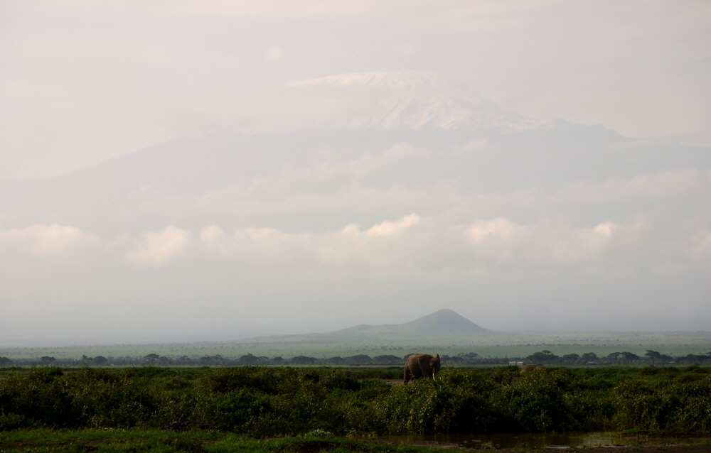 Amboseli der Kilimanjaro