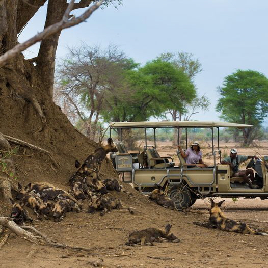 Anabezi Lower Zambesi.