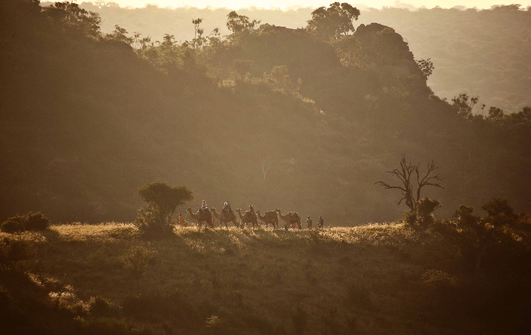 Safari mit Kamelen 
