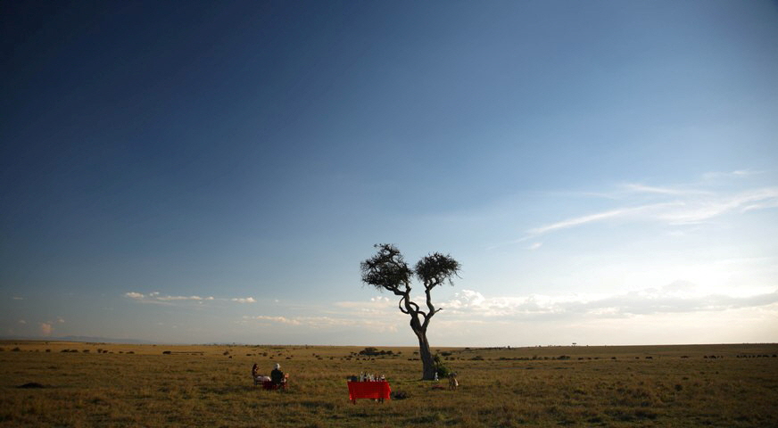 Elephant Pepper Camp, Masai Mara North 