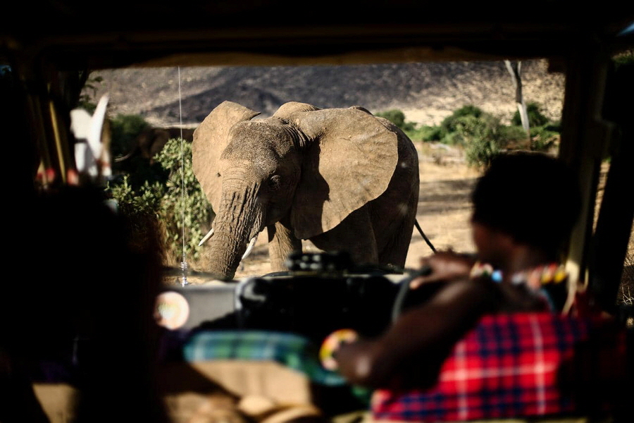Samburu Elephant Watch Camp