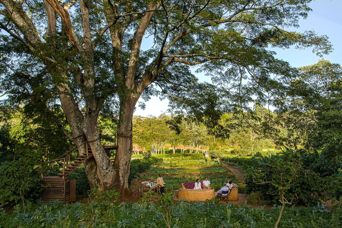 Gibbs Farm Ngorongoro