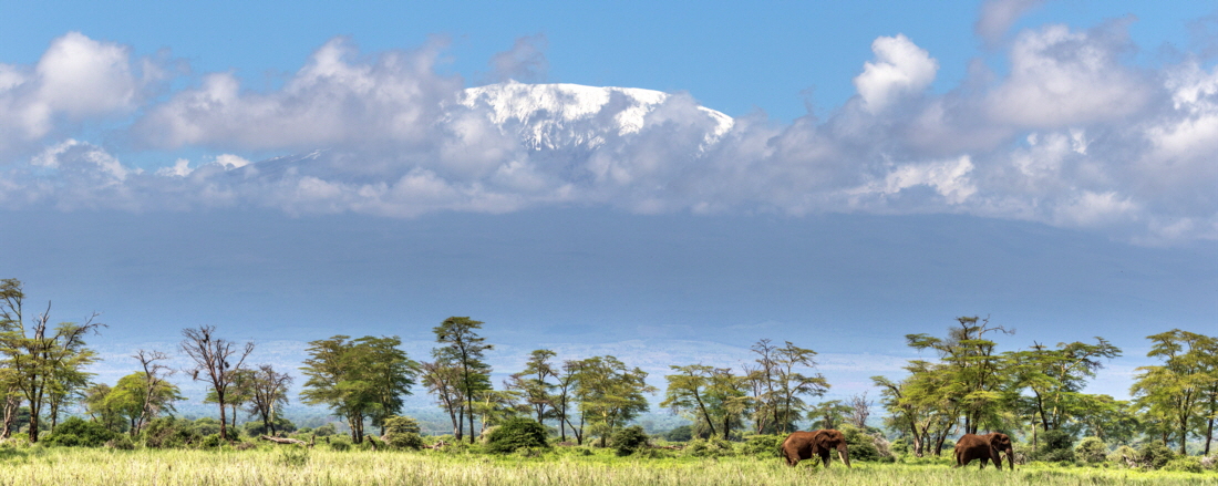 Amboseli Kilimanscharo