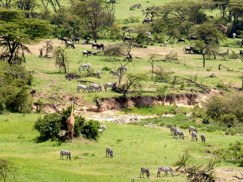Mahali Mzuri Masai Mara 