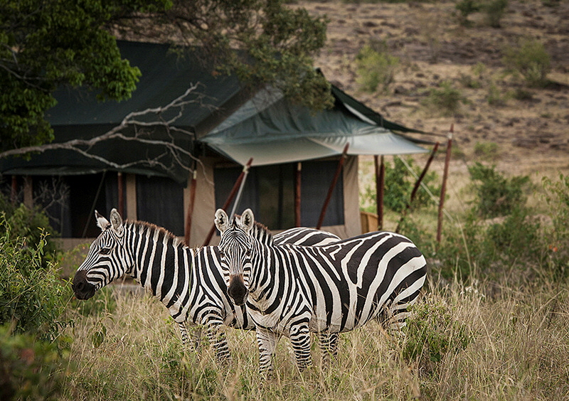 Offbeat Camp Masai Mara North 