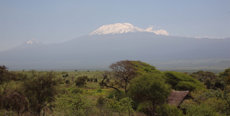 Amboseli und Kilimamscharo