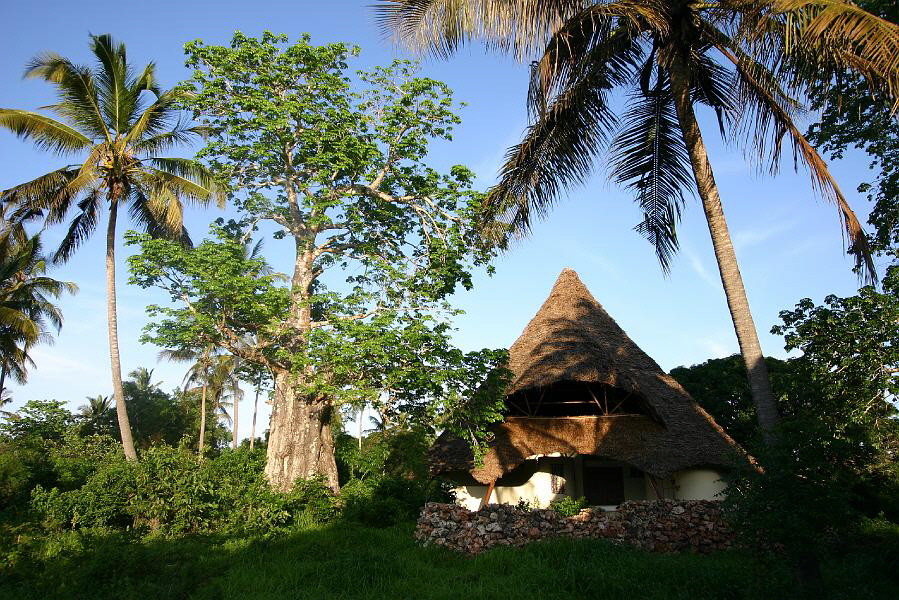 Baobab Villa